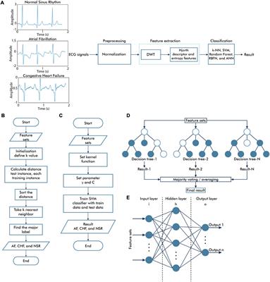 Optimal Classification of Atrial Fibrillation and Congestive Heart Failure Using Machine Learning